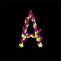 Letter A made from amaranth flowers.